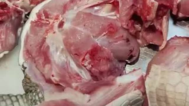 新鲜鳄鱼肉#食材新鲜才是硬道理 #烤鳄鱼