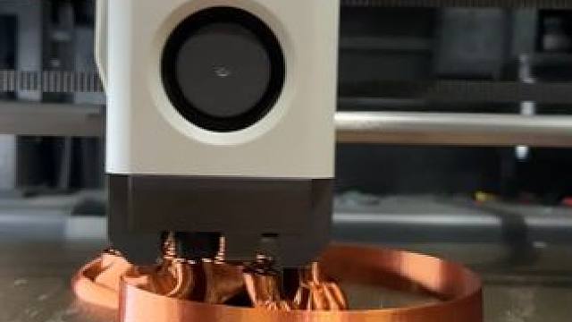 请叫我狮子王辛巴~~ #3d打印 #玩个很新的东西