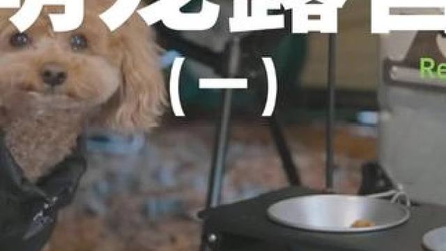 萌宠露营（一）#露营 #助眠 #解压 #萌宠 #户外露营