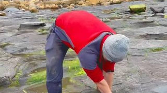 一段史前鳄鱼的化石  #古生物 #古生物化石 #化石