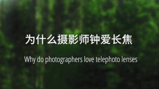 一个视频告诉你为什么摄影师钟爱长焦. #那些长焦和微距的震撼感