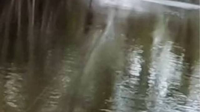 #冬天总要出门钓一次鱼吧 #钓鱼人的2024年度回忆 #钓鱼的乐趣只有钓