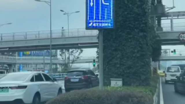 这些交通标志不认识，十本驾照都不够扣#每天一个用车小知识 #汽车知识