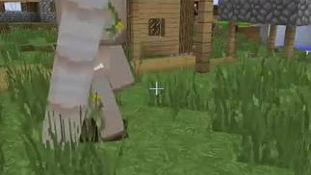 #我的世界 #Minecraft