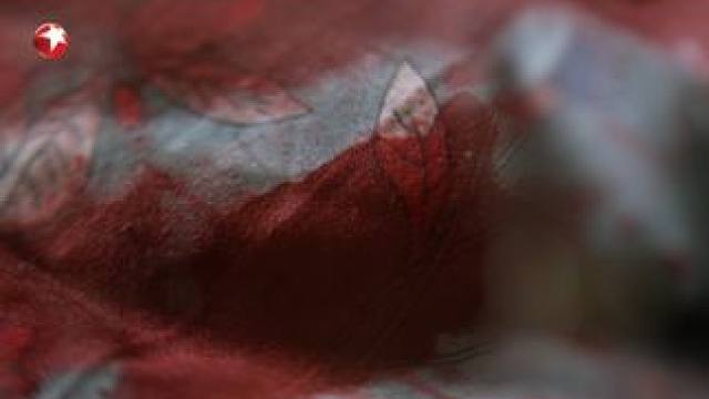 乌老盯着床单上的血迹看了一天，终于从一段血迹的形状中发现了凶器的样子…#东方卫视真心英雄 #真心英雄