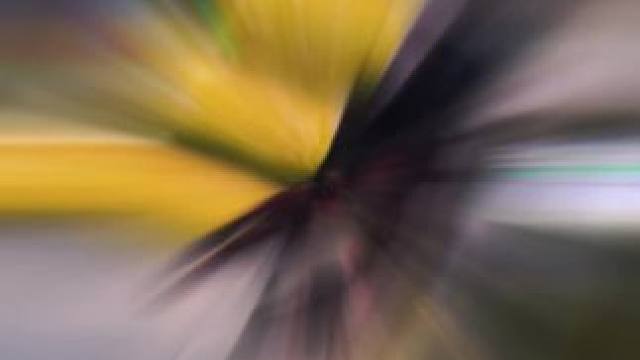 乐观、自律、努力，祝愿大家在2025年再上新台阶