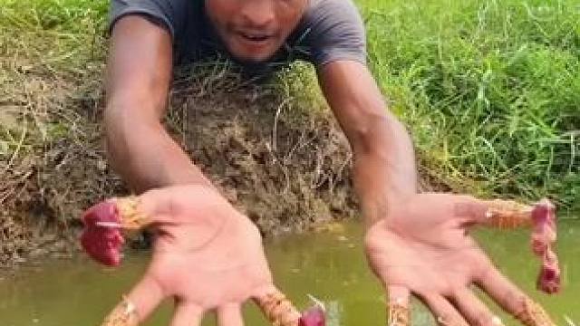 #户外抓鱼 #逮鱼摸虾 #徒手抓鱼 #捕鱼达人 #农村生活