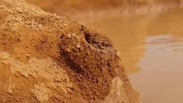 #真实户外 #抓鱼 #农村生活 #逮鱼摸虾 #户外抓鱼