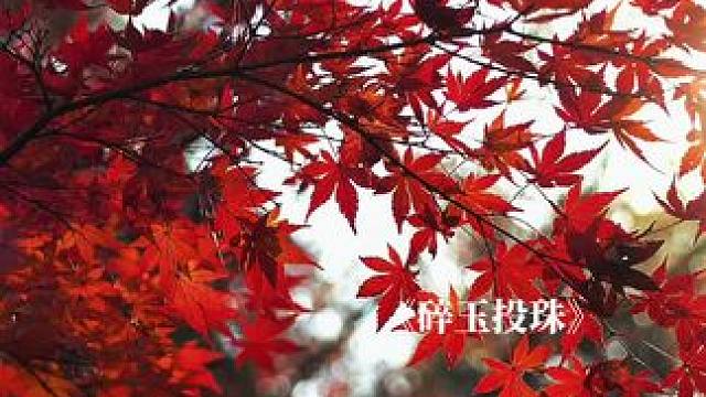 #碎玉投珠 #广播剧  丁汉白：我是神经病