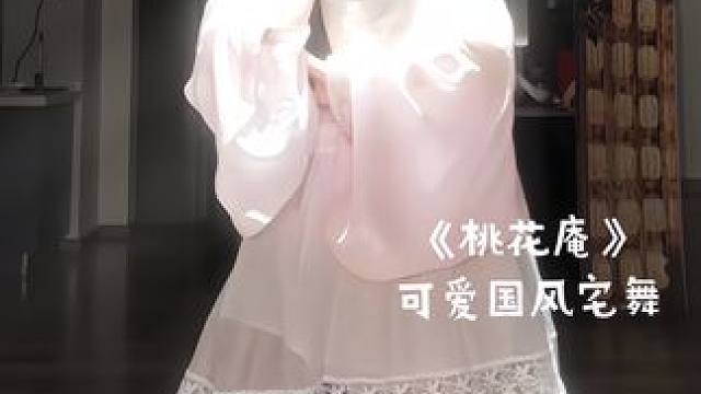 #舞蹈 桃花坞里桃花庵 桃花庵里桃花仙～#桃花庵 #国风宅舞 #汉洋折衷