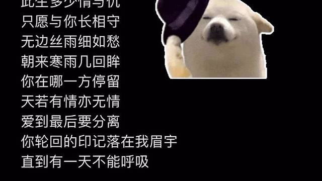 天有道 自不会让有情人分离