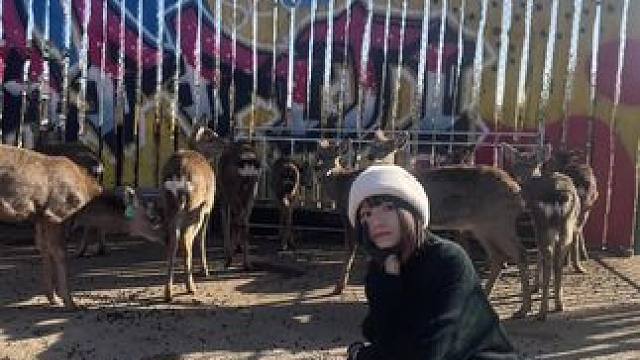 小登我新的一年希望，暴富！#游戏日常 #分享日常 #生活碎片记录 #欧皇的气息 #我们一起玩过的阴阳