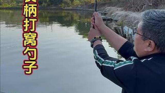 碳素长柄打窝勺 玩路滑远投或者长竿钓鱼的时候，一定要带一个长柄的打窝勺，抛的远，打窝准。#大物打窝勺