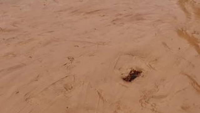 #户外抓鱼 #捕鱼达人 #逮鱼摸虾 #农村生活 #一起玩泥巴