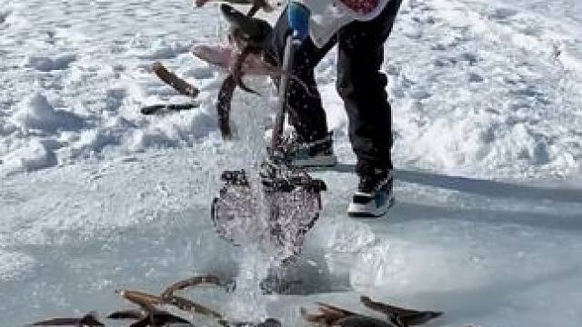 #户外捕鱼 #好多鱼