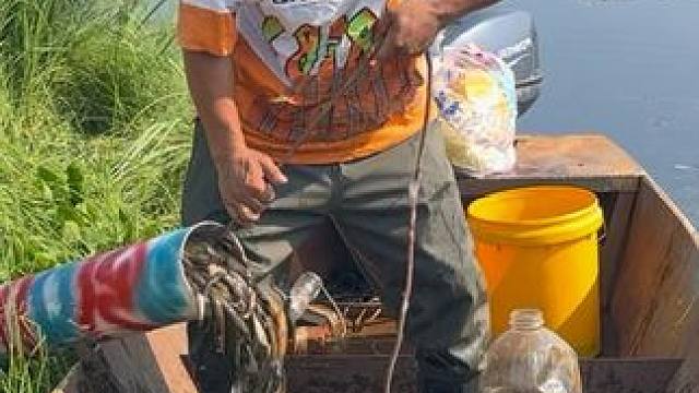 #户外捕鱼 #好多鱼