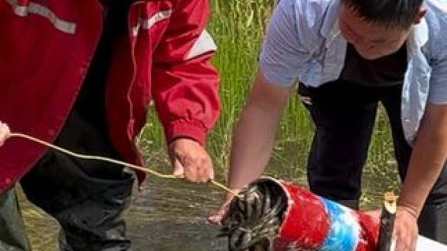 #户外捕鱼 #好多鱼