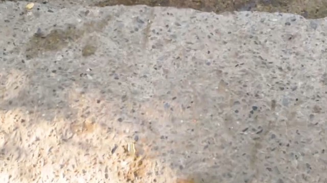 楼梯滚瓶子爆破解压时刻