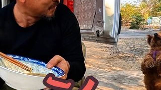 一人一狗吃早餐，两袋方便面随便吃，真豪横#自驾游 #露营美食