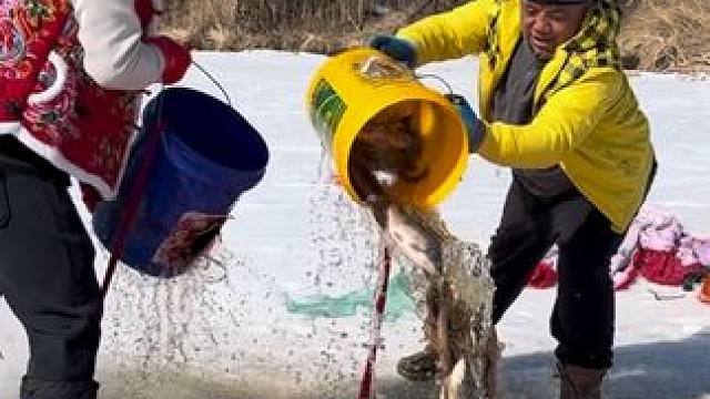 #户外捕鱼 #好多鱼