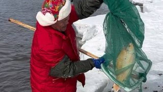 #户外捕鱼 #好多鱼