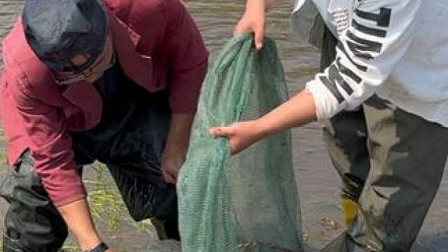 #户外捕鱼 #好多鱼