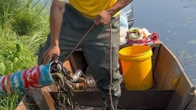 #户外捕鱼 #好多鱼