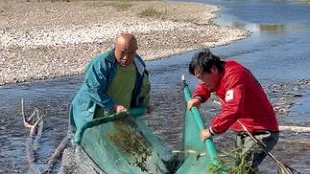 #户外捕鱼 #好多鱼