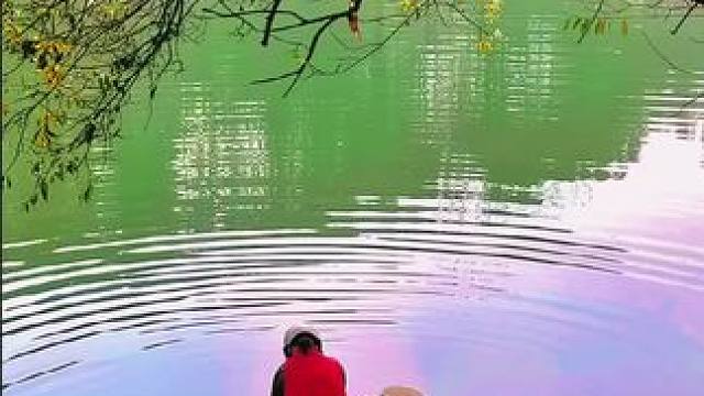 #身边的风景 #湖边小景