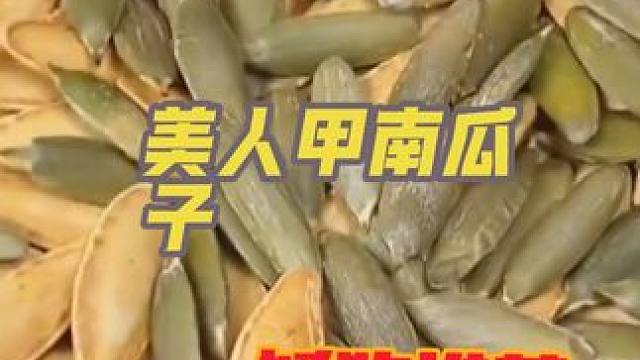 美人甲南瓜子