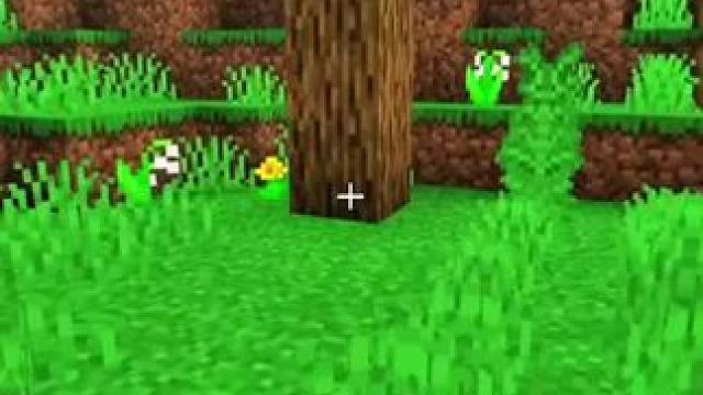 #我的世界 #Minecraft