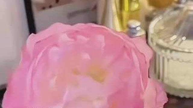 #蜕变历经沧桑才能看见彩虹 #缓解压力 #换个角度发现美