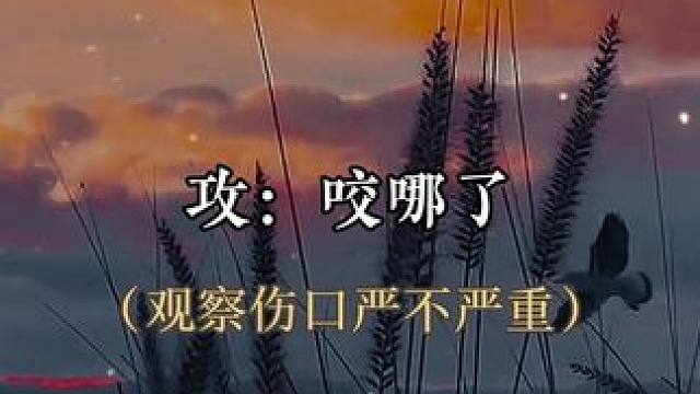 #配音 被猫咬了就变成小猫咪了～