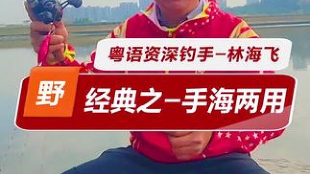 手海两用竿是什么东东？ 虽然手感差些，但是这种钓法钓大鱼真的很好，退休后就玩它了#钓鱼#野钓#滑漂钓