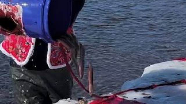 #户外捕鱼 #好多鱼