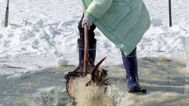 #户外捕鱼 #好多鱼