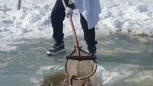 #户外捕鱼 #好多鱼