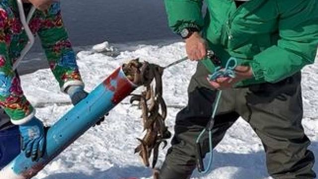 #户外捕鱼 #好多鱼