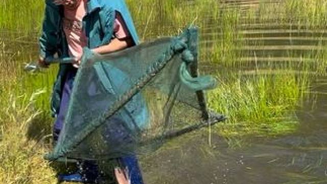 #户外捕鱼 #好大一条鱼