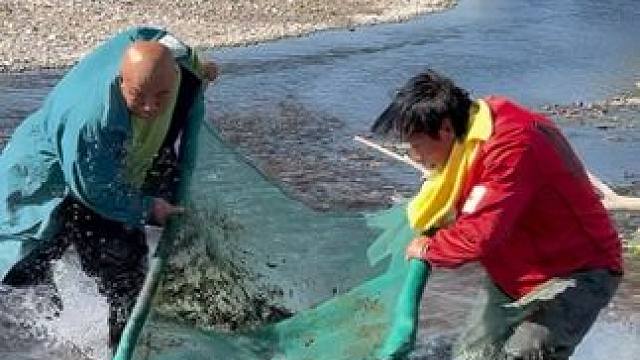 #户外捕鱼 #好多鱼