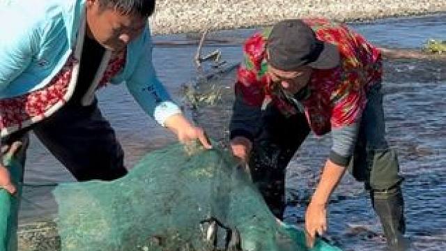 #户外捕鱼 #好多鱼