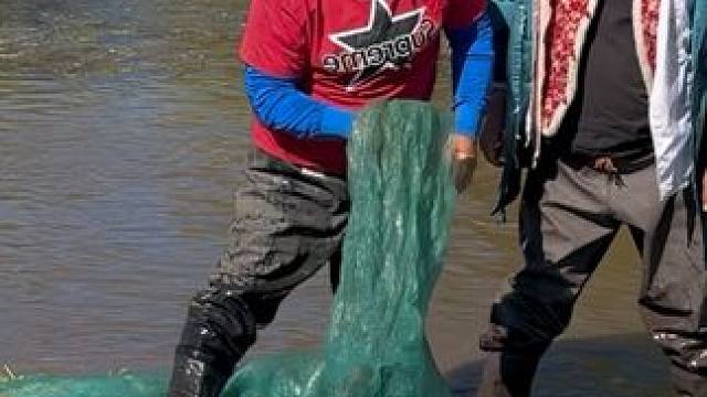 #户外捕鱼 #好多鱼