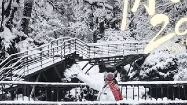 持续下雪中，冰瀑绝美，没来的赶紧～#冬天该有的样子 #在龙苍沟遇见蓝色冰瀑 #雾凇美景