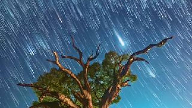 2025年的首场流星雨登场 ，快许下你的2025新年愿望#星空 #满天星辰 #象限仪流星雨 #张家界