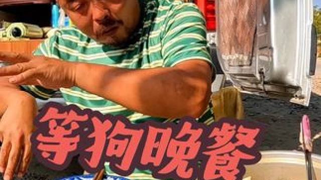 沙和尚把大哥的狗弄丢了，在原地吃晚餐等狗回来，下集#自驾游