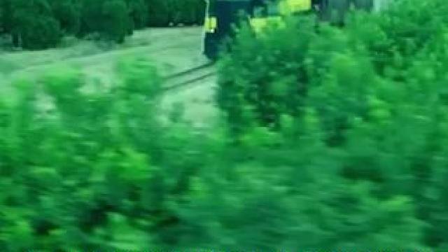 为什么火车遇到行人不会停车呢？#科普  #火车  #涨知识