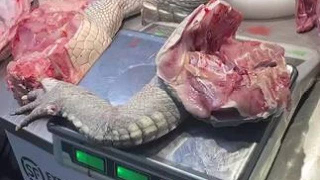 #人工养殖鳄鱼 #食材新鲜才是硬道理 #烤鳄鱼