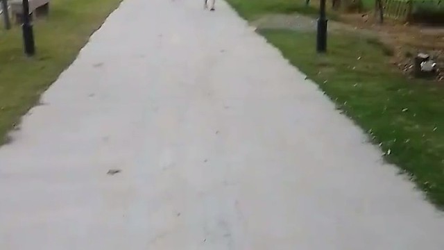 悠闲时间，在外面溜达