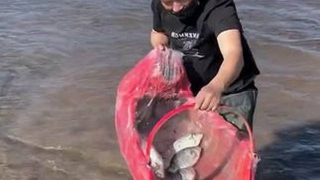 #户外捕鱼 #好多鱼