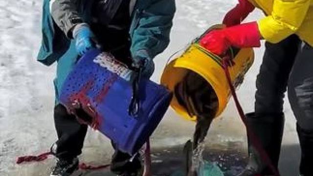 #户外捕鱼 #好多鱼